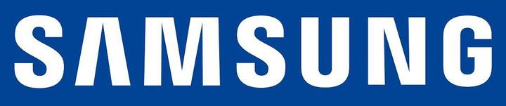 Image du produit Samsung Pack de batteries Freestyle (32000 mAh, 10 W, 115.20 Wh)