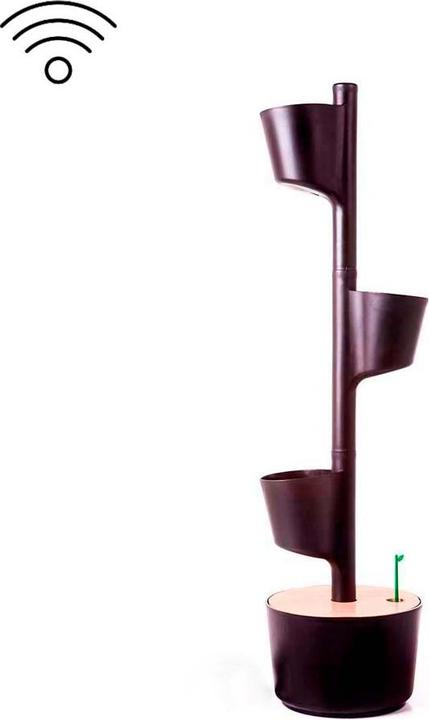 Actual product image BeMaxx Fitness Pull-Up Band Set of 3, (Red, Black, Purple)