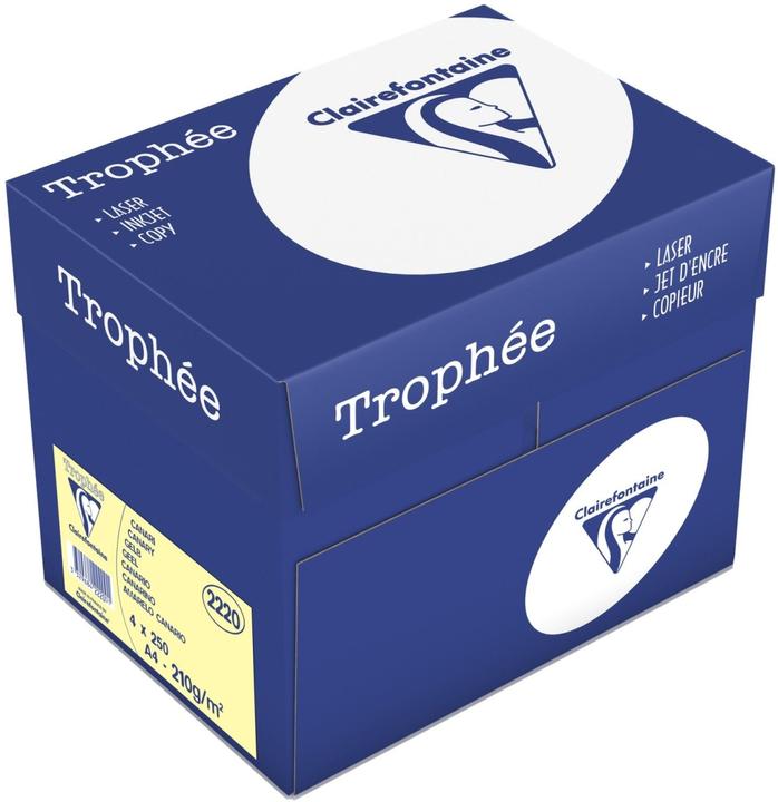 Produktbild Clairalfa Multifunktionspapier Troph‚e, A4, gelb (210 g/m², 250 x, A4)