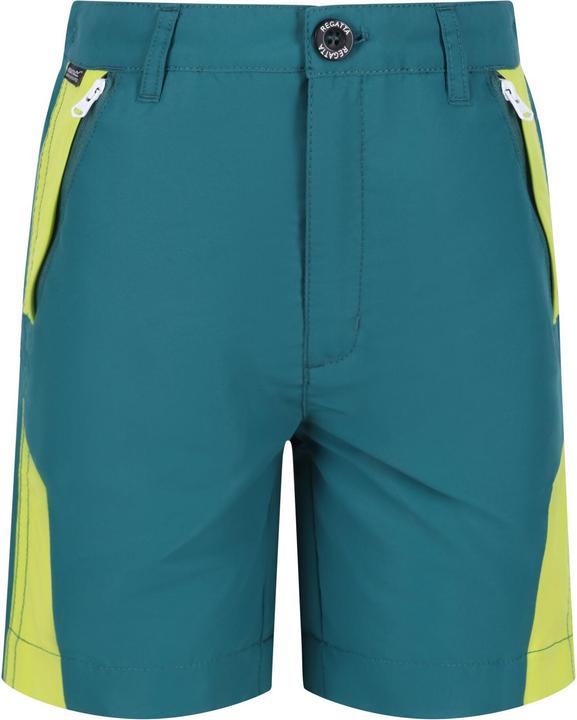 Regatta Sorcer II Shorts