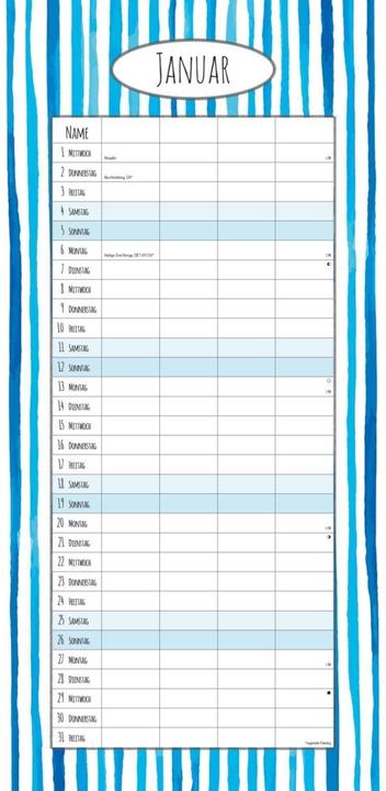 Actual product image Alpha Edition Family Planner Deluxe 2025 Family Calendar, 22x45cm, Calendar with 4 Columns for (22 x 45 cm, German)