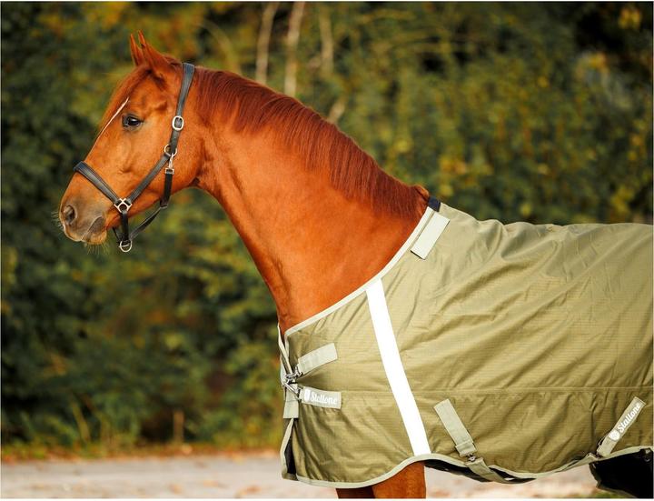 Produktbild Stallone Weidedecke 100 g Outdoor Guard (140 cm)