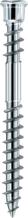 Produktbild Eurotec Terrassenschrauben TERRASSOTEC TRILOBULAR C1 (200 Schrauben pro Stück)