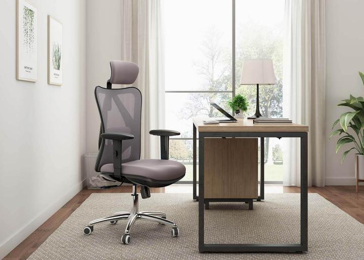 Image du produit Sihoo Chaise de bureau avec soutien lombaire