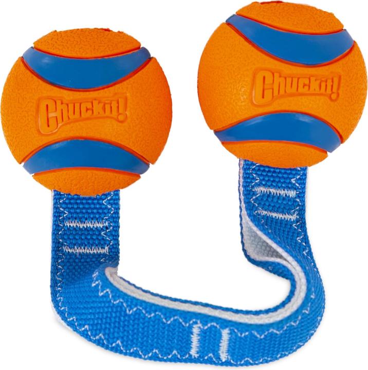 Image du produit Chuckit! Jouet pour chiens (Jouet à balle chien)