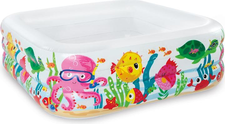 Intex Centre de natation