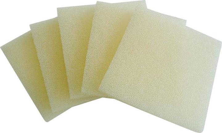 Maico Replacement filter (10 x)