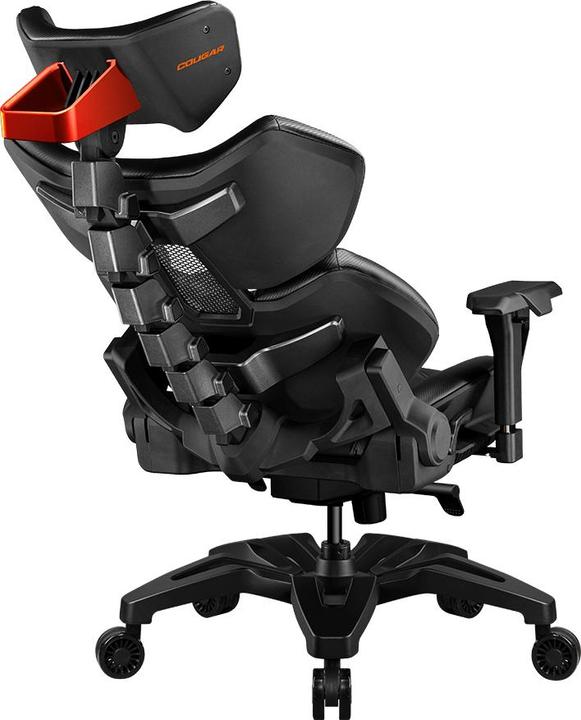 Actual product image Cougar Terminator