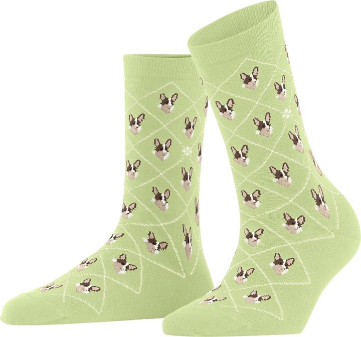 Burlington Corgi (Einzelpack, 36 - 41)
