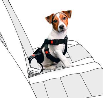 Actual product image Karlie Car safety harness nylon (Dog, Safety closure)