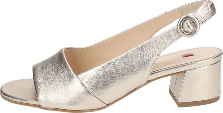 Actual product image Högl Pumps (34.5)