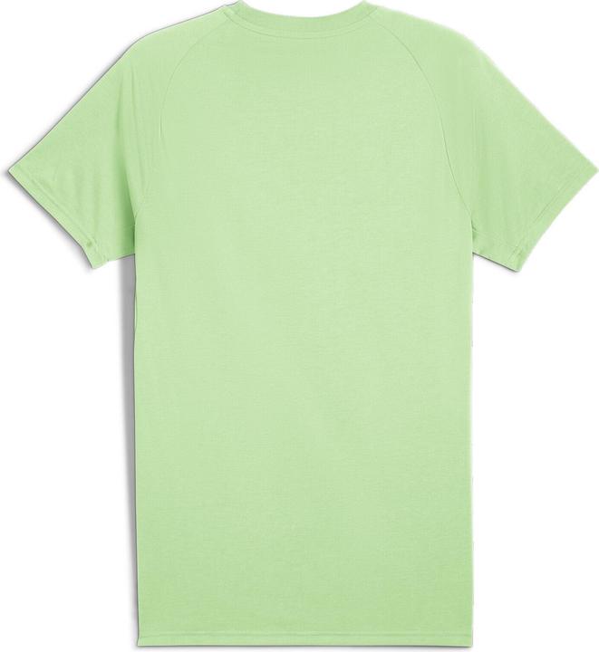 Actual product image Puma EVOSTRIPE Tea (XXL)