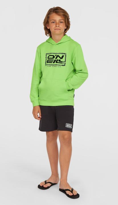 Produktbild O'Neill Logo Hoodie (152)
