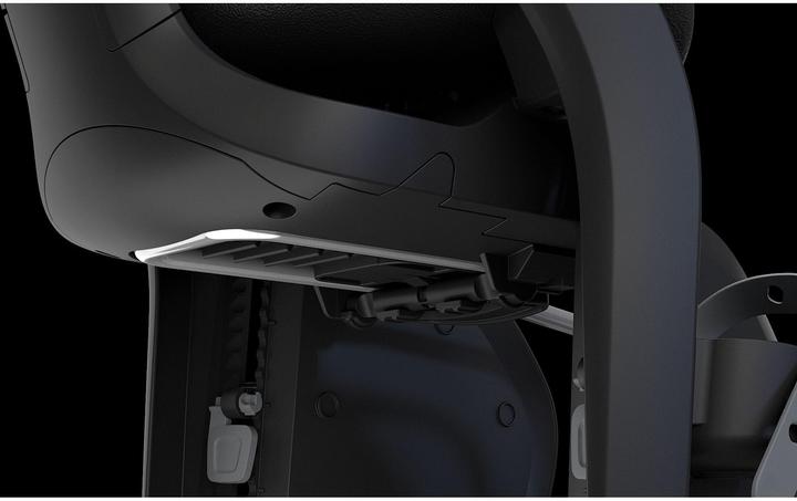 Image du produit Thule Yepp 2 Maxi (Moyeux arrière)