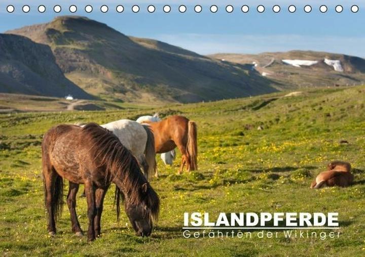 Produktbild Islandpferde: Gefhrten der Wikinger (Tischkalender immerwhrend DIN A5 quer) (A5)