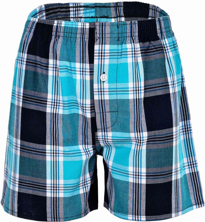 Image du produit Your Basics Boxers tissés Casual Coupe ample (188, paquet de 7)