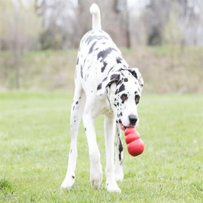 Produktbild KONG Classic (Apportieren, Futterspielzeug Hund, Kauspielzeug Hund)