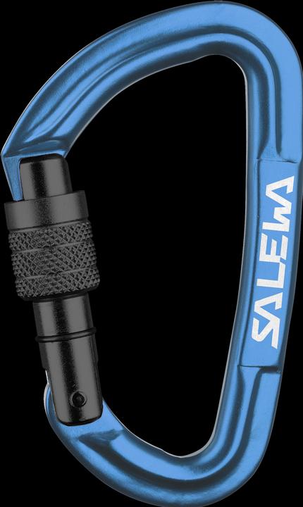 Actual product image Salewa Hot G3 Screw