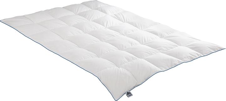 Produktbild Irisette Daunensteppbett Luna medium (550 g, 135 x 200 cm)