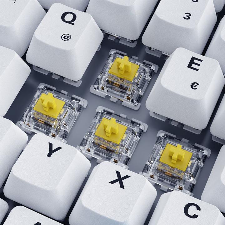 Image du produit Sharkoon Skiller SGK50 S3 PBT (DE, Filaire)