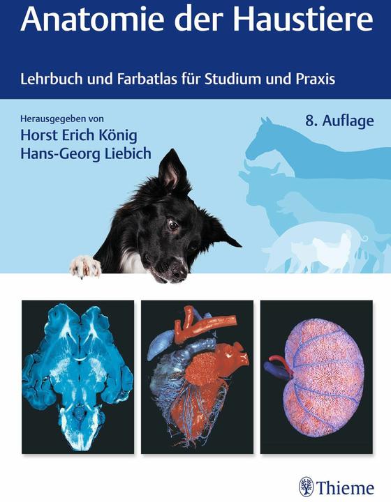 Produktbild Anatomie der Haustiere (Deutsch, Horst Erich König, Hans-Georg Liebich, 2024)