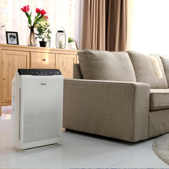Actual product image Winix Zero (99 m²)