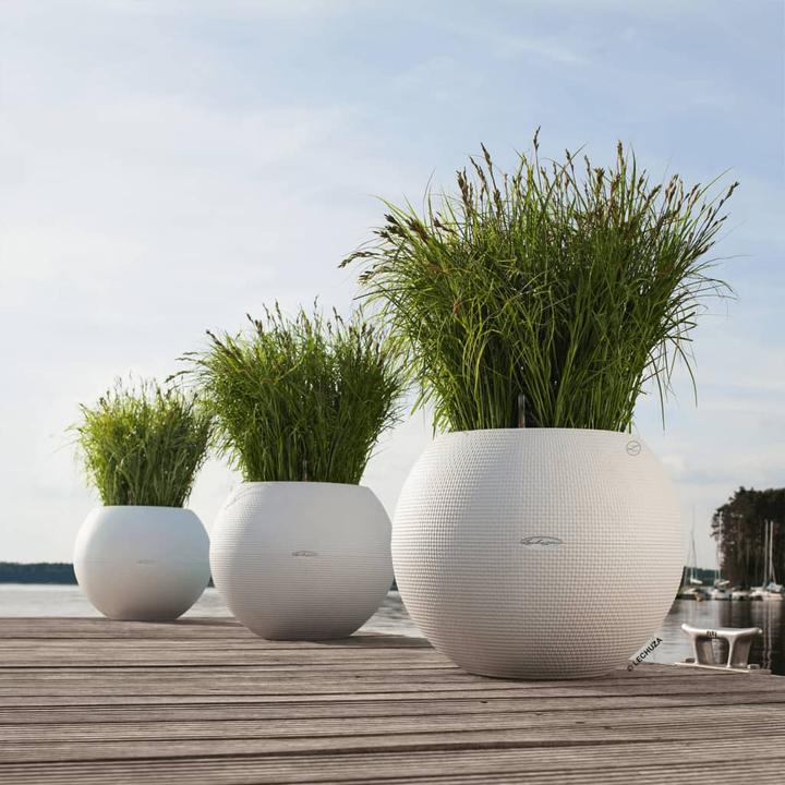 Produktbild Lechuza PURO Color 50 (49 cm)