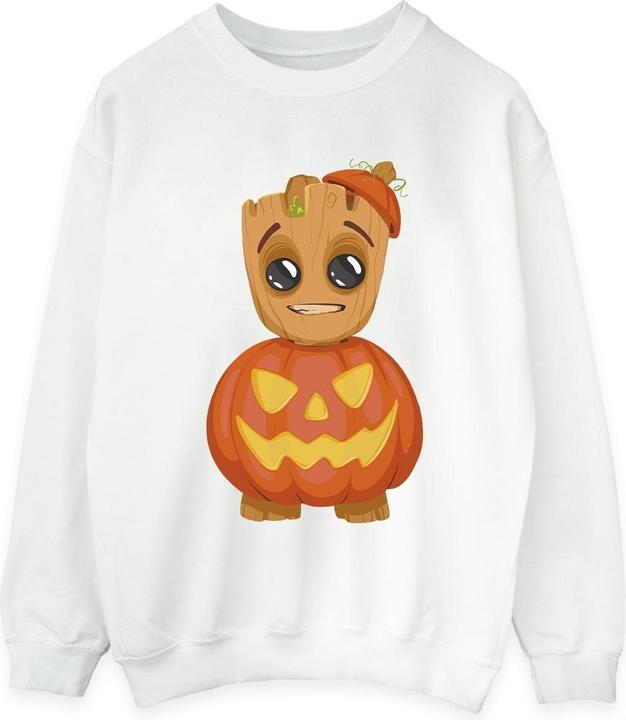 Sweatshirt (M)
