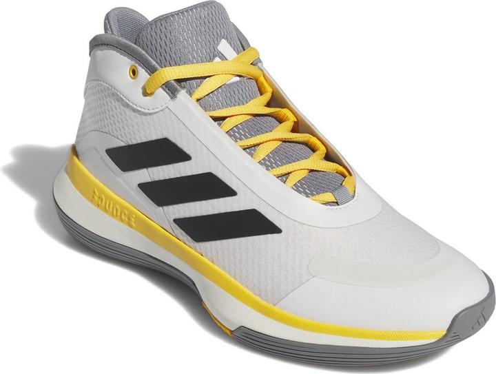 Image du produit adidas Légendes du rebond (42 2/3)
