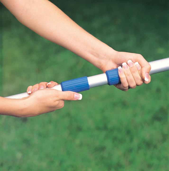 Actual product image Intex Telescopic rod