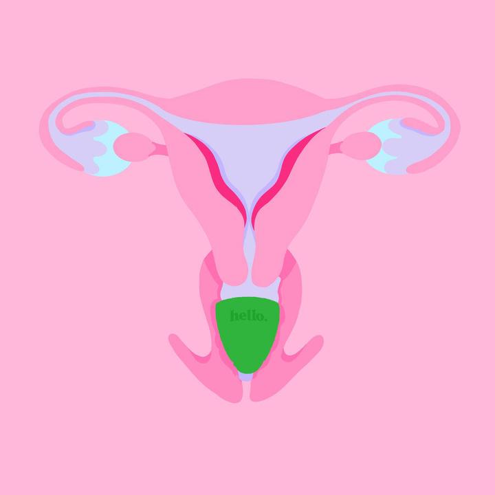 Produktbild Hello. Low Cervix (M)