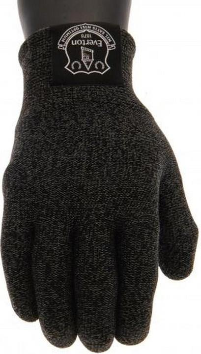 Actual product image Everton FC UTTA5071 P (One size)