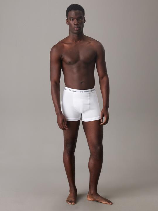 Actual product image Calvin Klein Trunk (L, pack of 3)