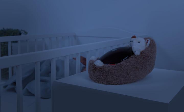Actual product image ZaZu Henry