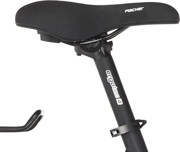 Immagine prodotto Fischer Bicicletta da trekking Terra 5.0i (44 cm)
