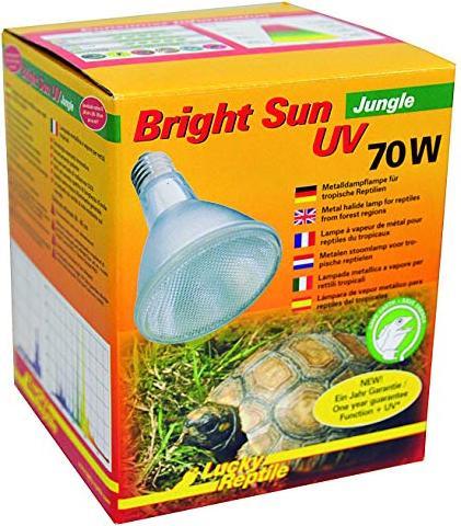 Actual product image Lucky Reptile Metal halide lamp