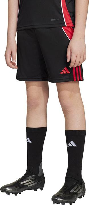 Actual product image adidas TIRO24 TRSHOY (176)