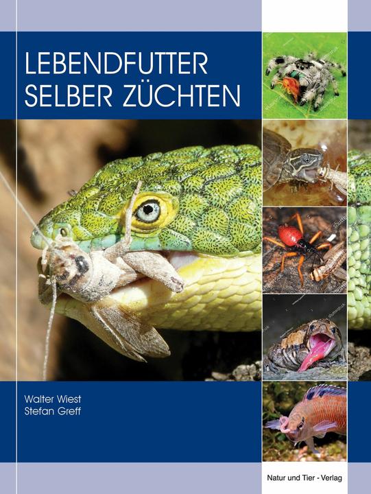 Produktbild Lebendfutter selber züchten (Deutsch, Walter Wiest, Stefan Greff, 2024)