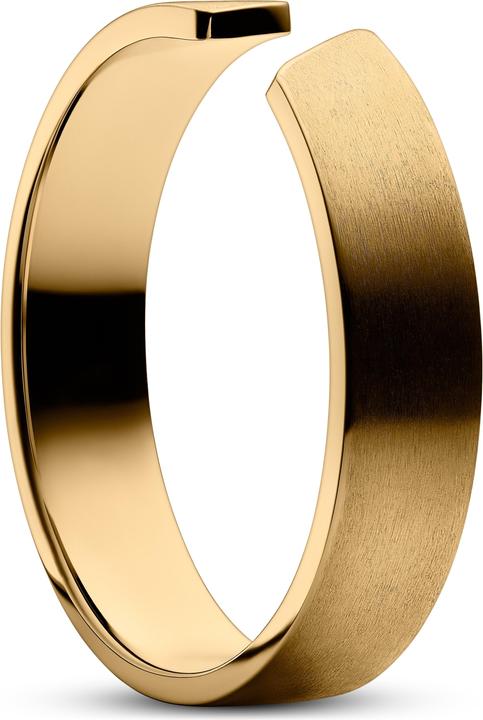 Lucleon fortis (62, Stahl)