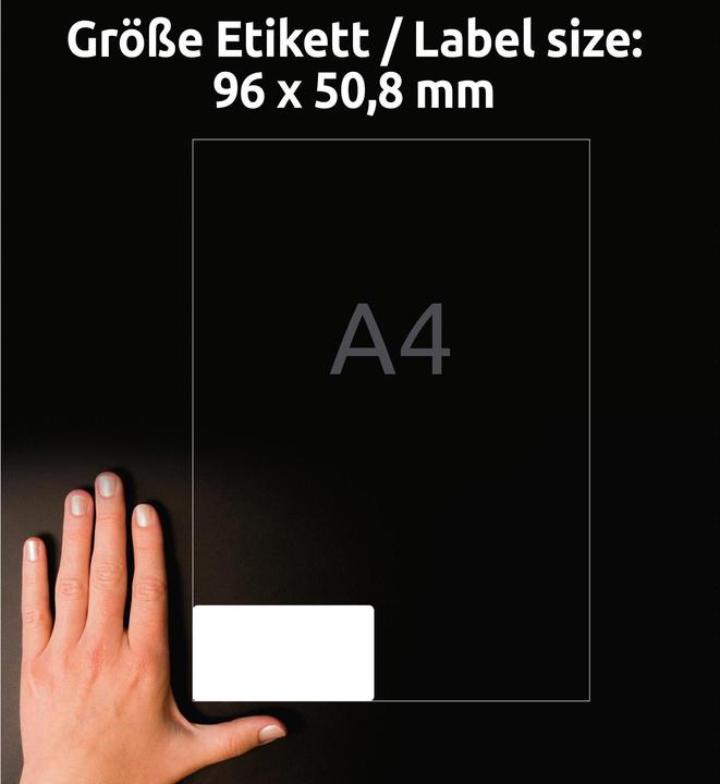 Actual product image Avery Universal labels