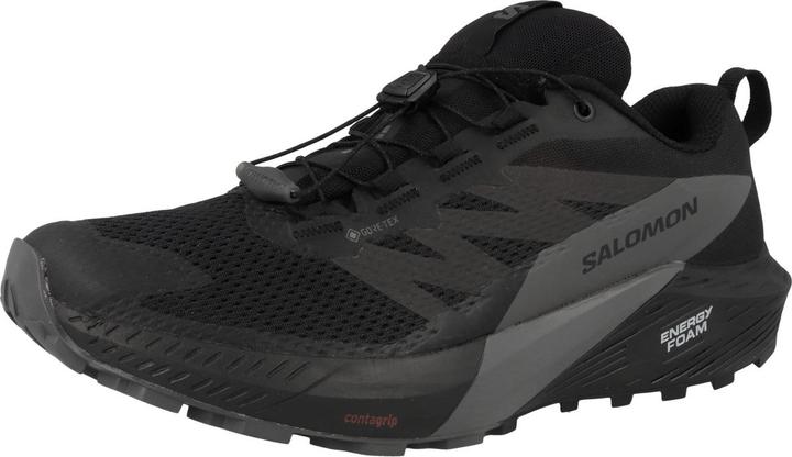 Actual product image Salomon Sense Ride 5 GTX - 59657 (47 1/3)
