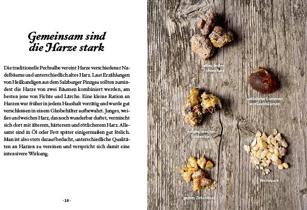 Actual product image Das kleine Buch: Harz- und Pechsalben (German, Karin Buchart, 2023)