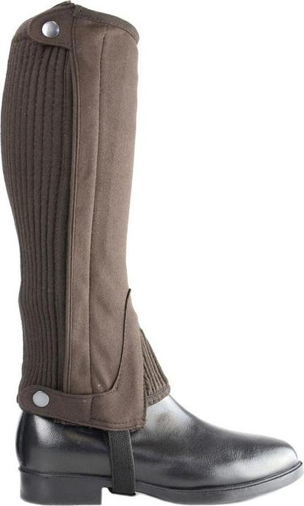 Actual product image Hy Land Amara half chaps (S)