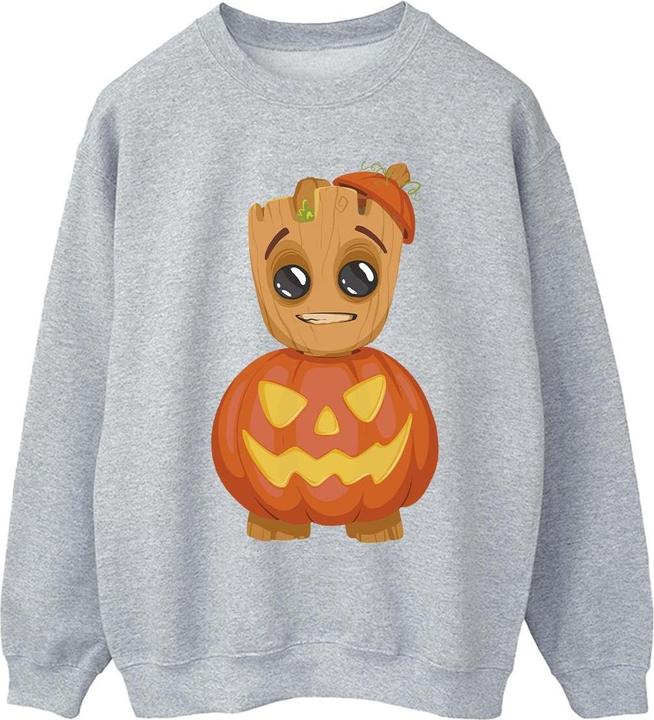 Sweatshirt (M)