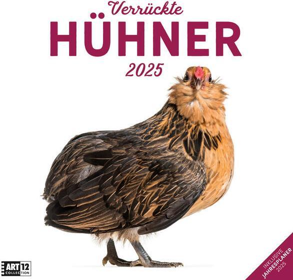 Produktbild Verrückte Hühner Kalender 2025 - 30x30 (Harter Einband, Deutsch)