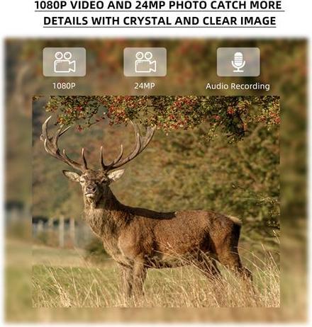 Actual product image Stealth Gear Hedgehog 1080p 4G Wildcamera
