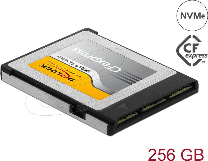 Delock 54066 (256 GB, CF)