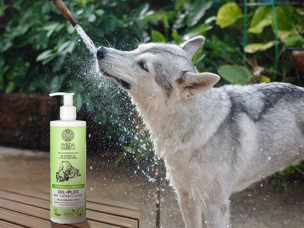 Produktbild Wilda Siberica Shampoo OIL-PLEX, 5 l (Katze, Hund, 5000 ml)