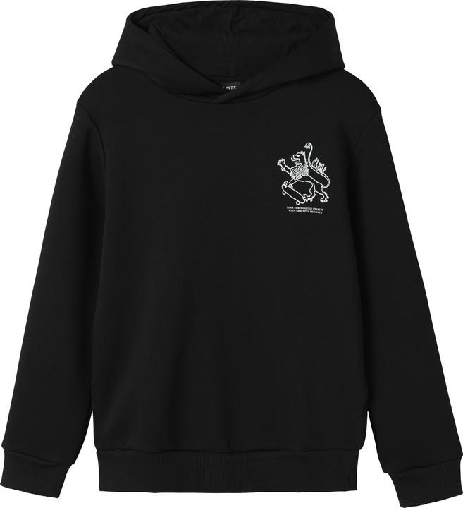 Lmtd Loose Fit Hoodie (134)
