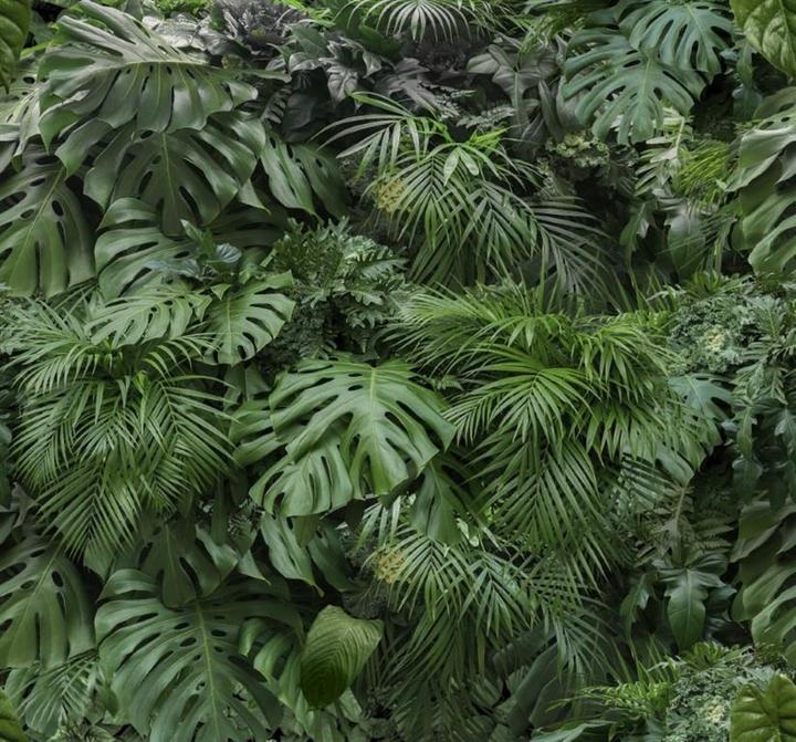 Actual product image Art for the Home PHOTOMURAL 119594 RAINFOREST